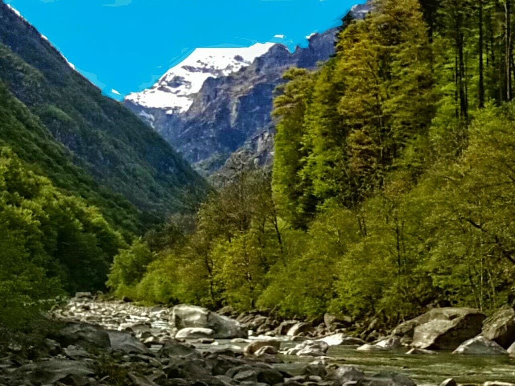 Aurigeno