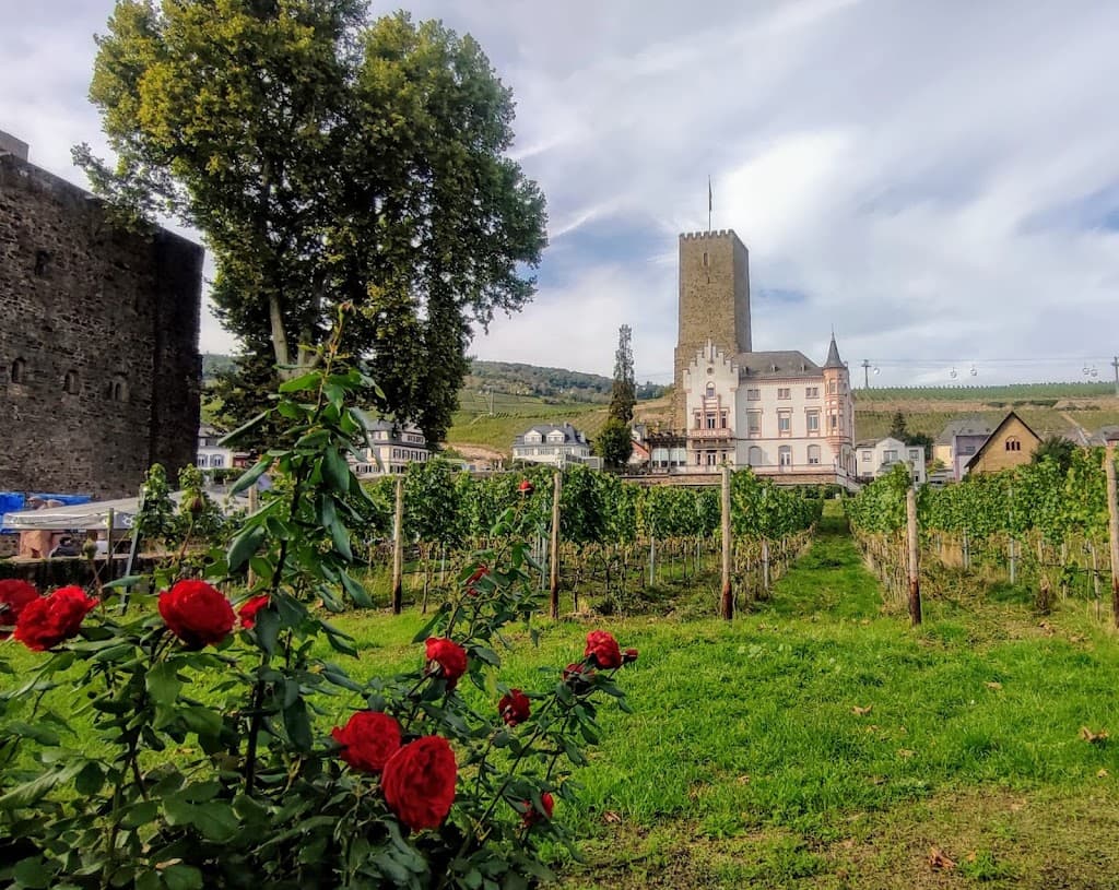 Rüdesheim am Rhein