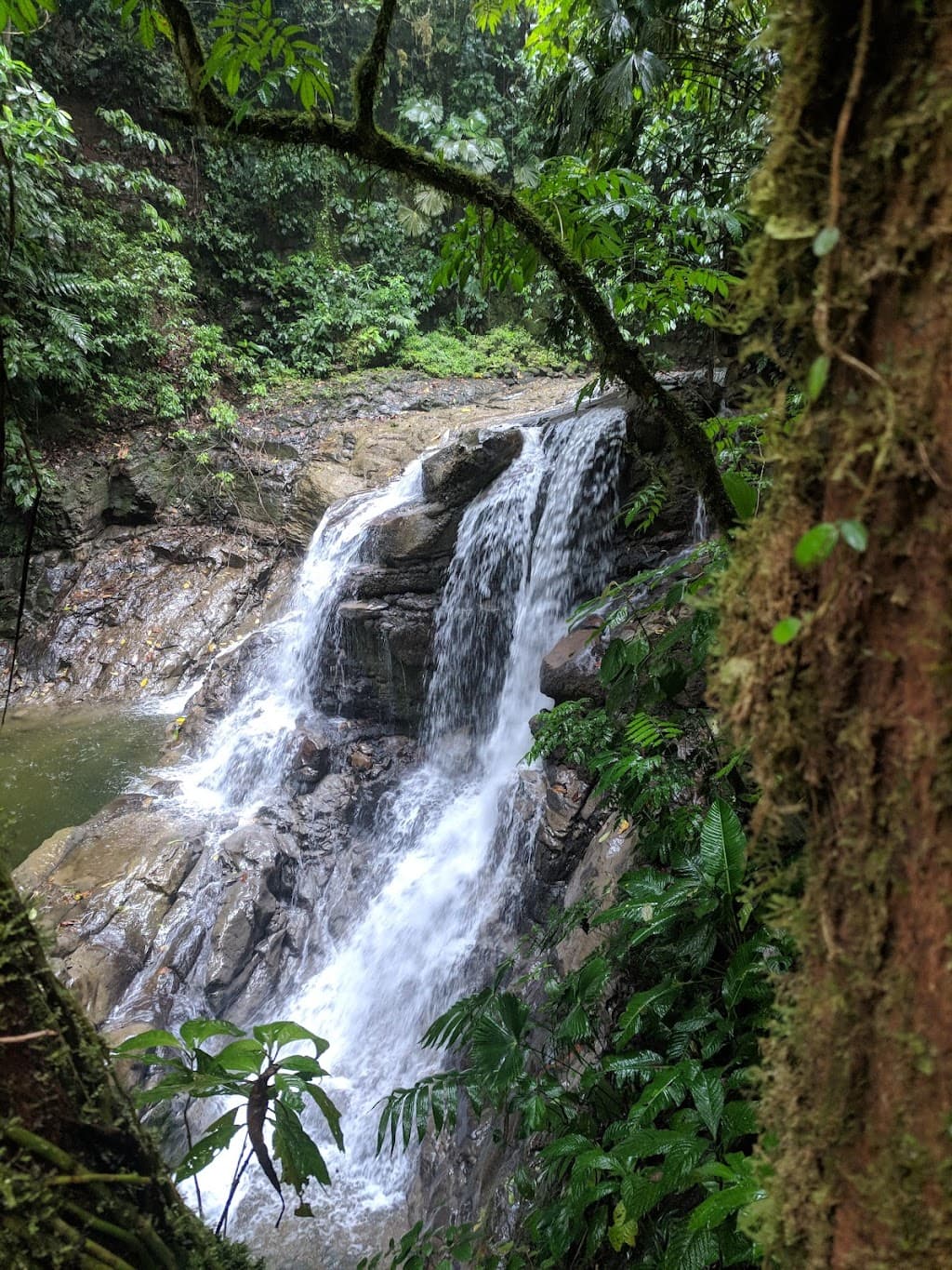 Puerto Limón