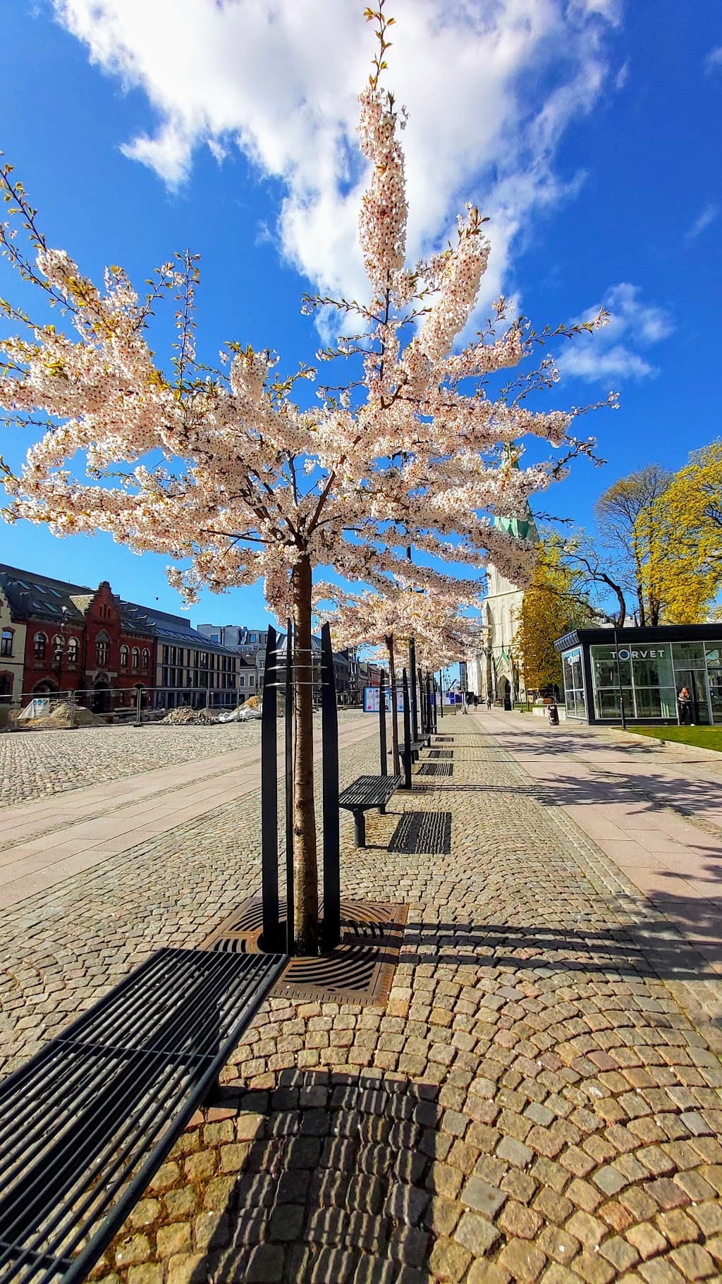 Wergelandsparken