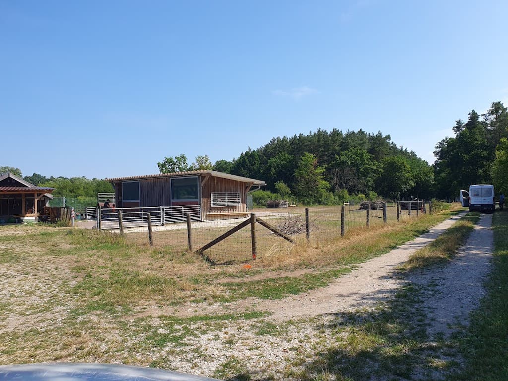 Gut Mittelbüg